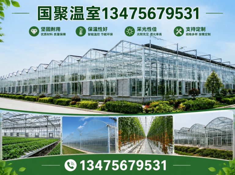 寒亭区农业温室工程展示图