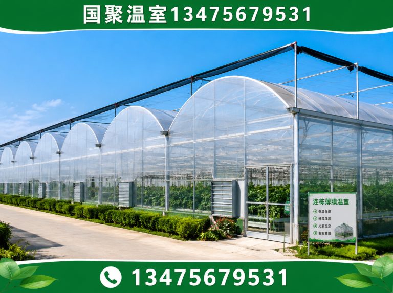 寒亭区温室大棚厂家展示图